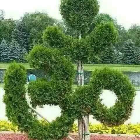 Om
