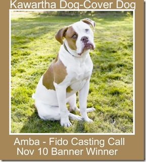 image Amba Fido Casting Call Entry Banner Winner