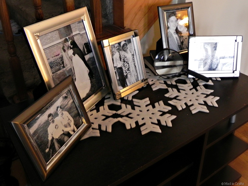 [family-photos-on-snowflake-runner3.jpg]