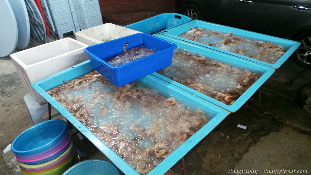 [20130115_211925.jpg.webp]