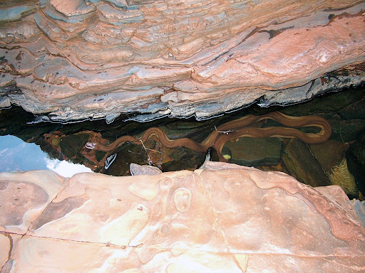 03_karijini_0299.JPG