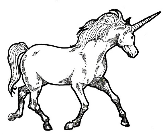Dibujos Para Colorear Unicornios