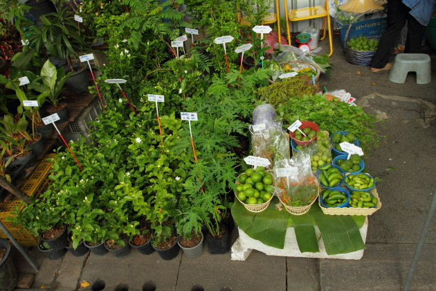Thai Herbs on sale at Taling Chan Floating Market, Bangkok