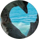 Tammie Jesters profile picture