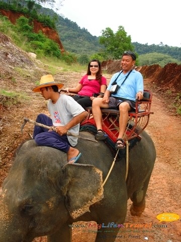 [Phuket-Rida-Elephant-473.jpg]
