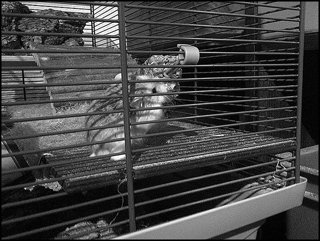 IMG-20110717-00181 - Kopie