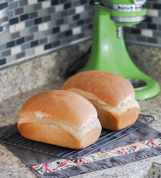 My favorite homemade wheat bread recipe--great for sandwiches and spreads!