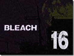 Bleach 16 Title