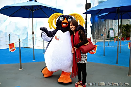 hong kong, ocean park, family, love, penguin, south pole