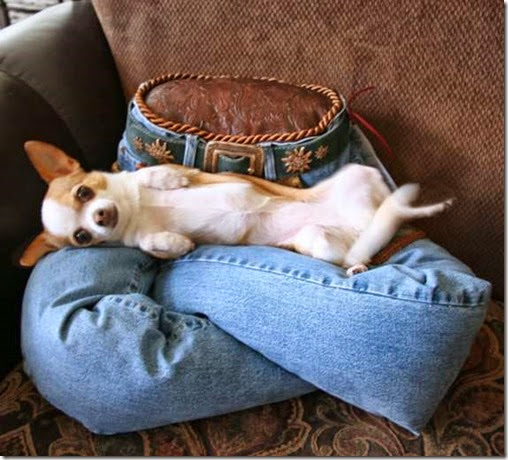 lap-of-luxury-pet-beds
