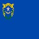 Nevada Penal Code 4 Cops