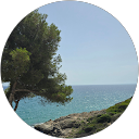Image Google de Jennifer Linossier