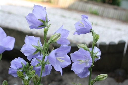 20100615 (Small)