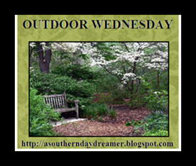 Outdoor-Wednesday-logo_thumb1_thumb1