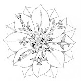 Mandala-098.jpg