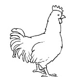 gallo2.jpg