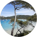 Image Google de Cécile Pibarot