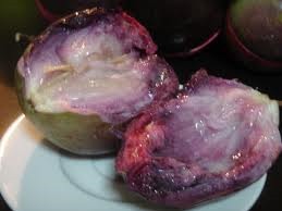 [Giant%2520Purple%2520Star%2520Apple%255B3%255D.jpg]