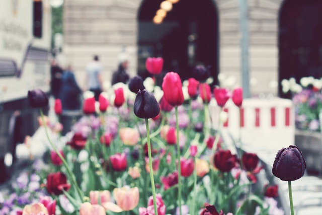 [IMG_9589%255B4%255D.jpg]