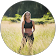Rebecca Lind Fitness Rebecca Lind Fitness