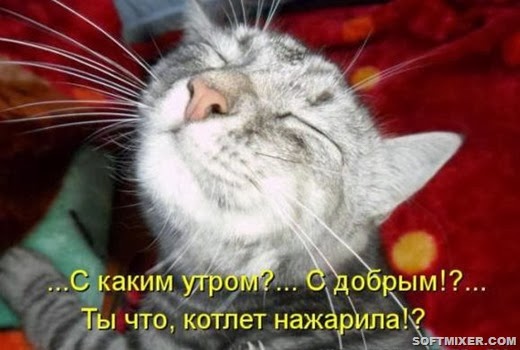 [82bbd555bae2cac8ac1a06e0e0d_prev%255B7%255D.jpg]