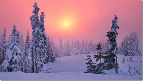 imagini iarna-brazi
