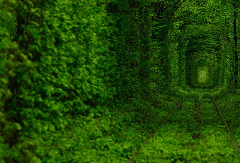 tunnel-of-love-3