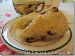 cranberry orange cream scones - The Backyard Farmwife