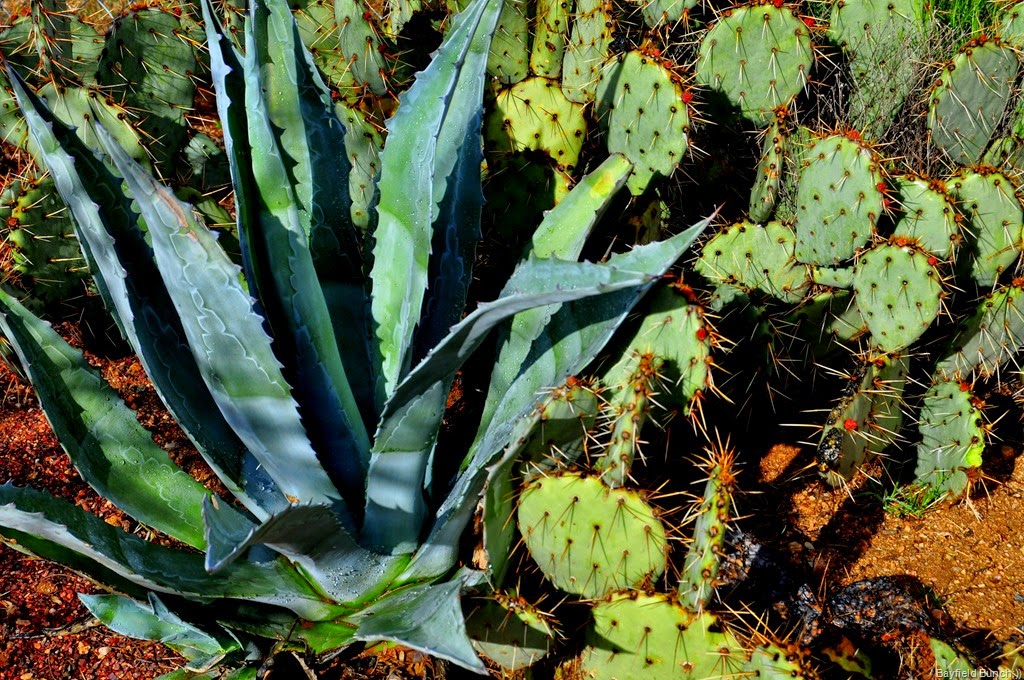 [DSC_0014%255B3%255D.jpg]