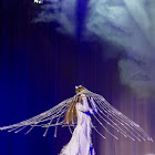 IMG_7661.jpg