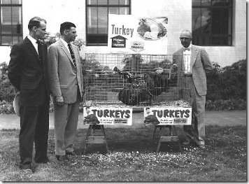 Turkey Promo at Capitol