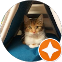 Image Google de Sylvie Vivie