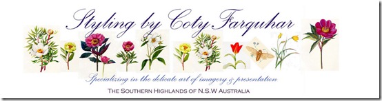 1  A flower a day -  Coty Farquhar Australia4