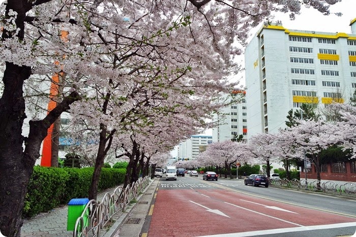 Japan April 2015 024