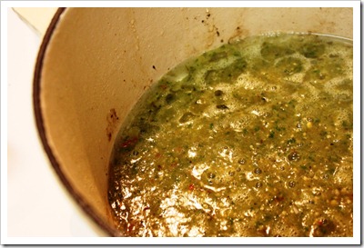 Braised Short Ribs in Tomatillo Sauce | A delicious and elegant dish that’s perfect for a nice dinner Braised Short Ribs in Tomatillo Sauce | A delicious and elegant dish that’s perfect for a nice dinner
