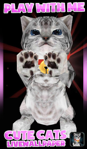 免費下載個人化APP|Fluffy Cat Pet 3D HD lwp app開箱文|APP開箱王