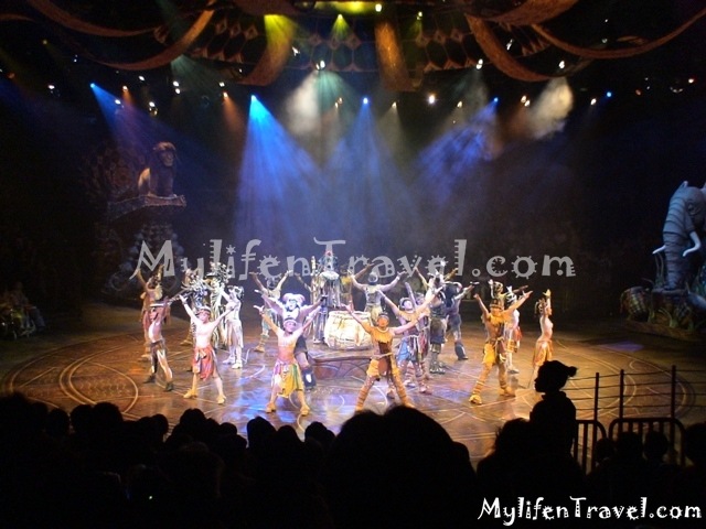 Lion King Disneyland HK 01 Lion King Disneyland HK 01