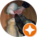 Image Google de FAMILLE MENUET