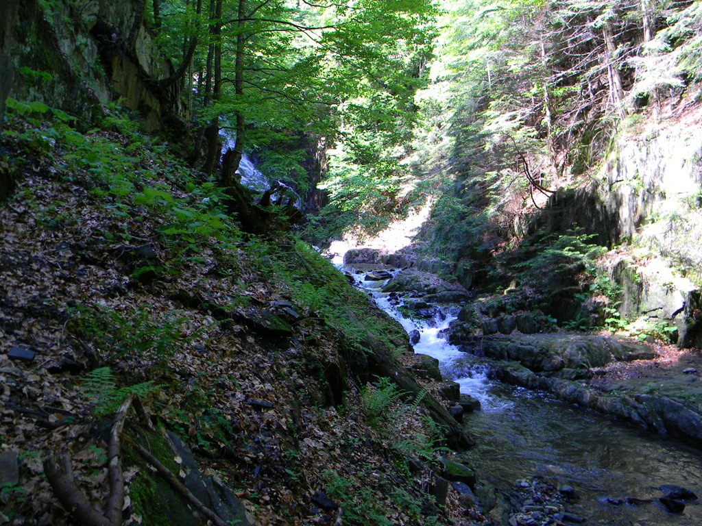 [DSCN13513.jpg]