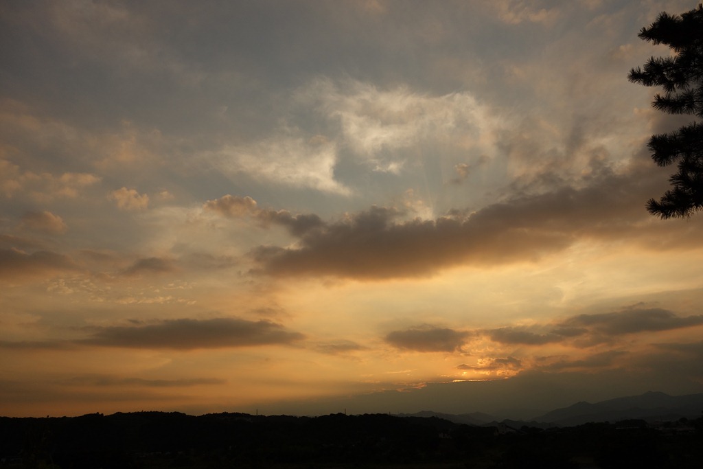 [DSC01518%255B3%255D.jpg]