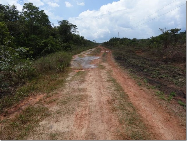 BR-319_Humaita_Manaus_Day_2_DSC05445 BR-319_Humaita_Manaus_Day_2_DSC05445