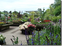 smeaton garden centre2