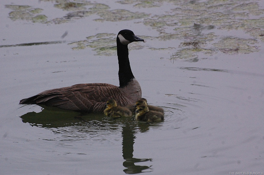 [DSC_9425%255B3%255D.jpg]