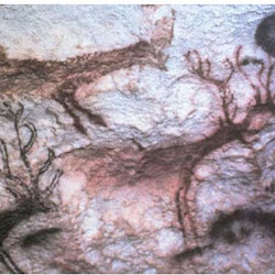 11 - Ciervos en la cueva de Lascaux (Francia)