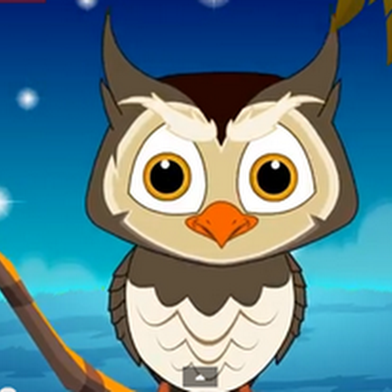 Rimas en inglés para niños Big eyed owl