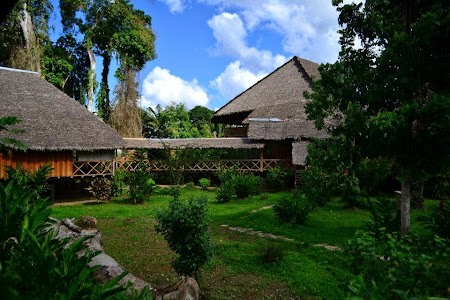 Jungla amazoniana. Ecoamazonia Lodge