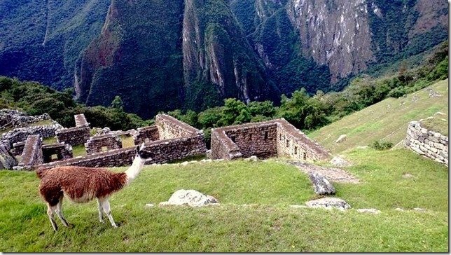 Machu_Picchu_WP_20130706_078