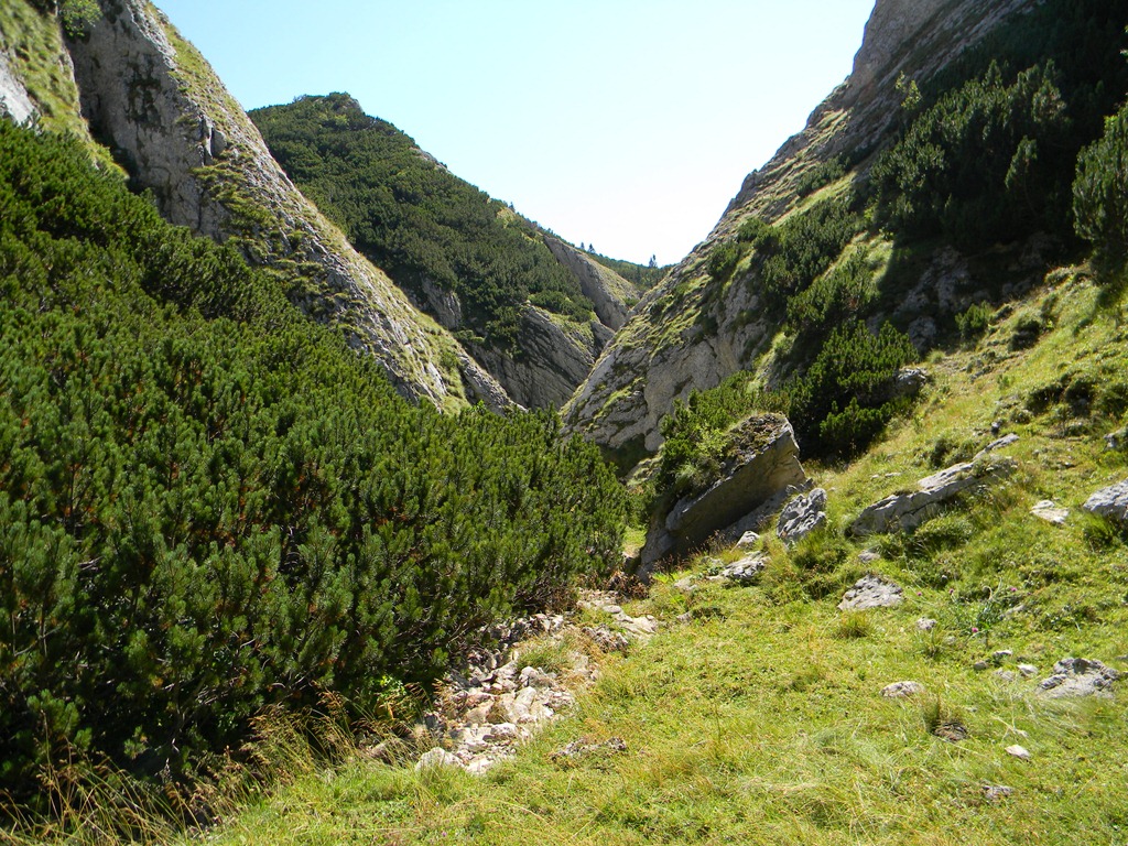 [DSCN13723.jpg]