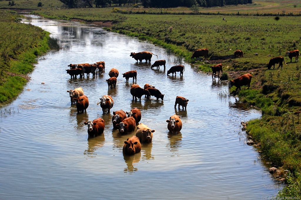 [DSC_8110%255B5%255D.jpg]