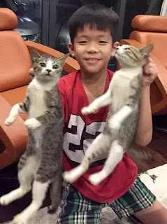 Sơn ít nói và thích mèo. Sơn ít nói và thích mèo.